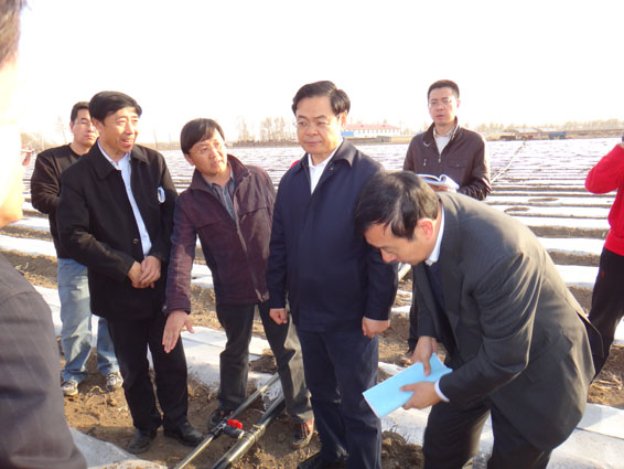 �������ǲ���(�й���)�ٷ���վ