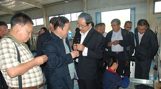 人生就是博·(中国区)官方网站