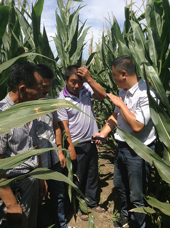 �������ǲ���(�й���)�ٷ���վ