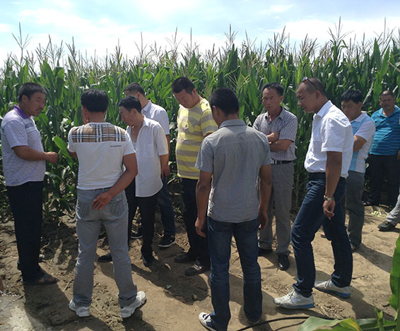 �������ǲ���(�й���)�ٷ���վ