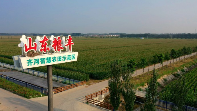 ɽ��ʡ������ũҵˮ���ۺ�ˢ���ƽ��ִ������������Ե���Ŀ