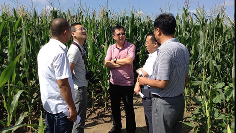 �������ǲ���ˮ���ż������׵���ʽ�ι�����Ч������