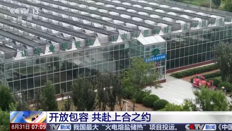 ���Ӿ۽�| �������ǲ���ˮ���ǻ۽��ࡱ���ջݼ����Ϻϸ���ͥ��